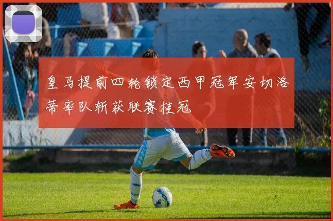皇马提前四轮锁定西甲冠军安切洛蒂率队斩获联赛桂冠