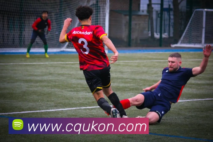 kaiyun体育app登录入口平台生态图