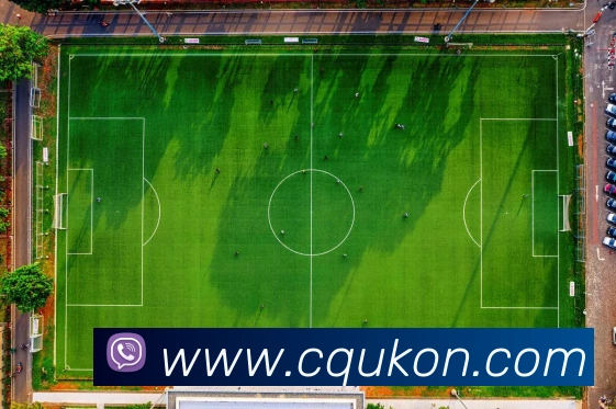 数据防护可视化